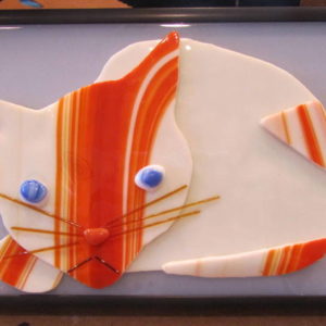 Orange and White Cat